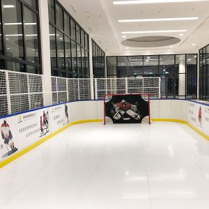 Synthetic Ice Rink